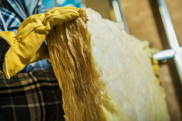 Trusted Hickman, NE Insulation Contractor Experts