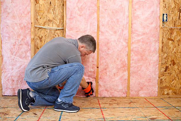 Best Fiberglass Insulation in Hickman, NE