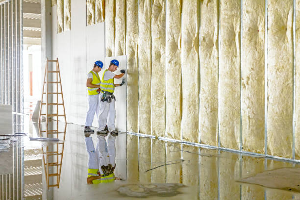 Types of Insulation We Offer in Hickman, NE